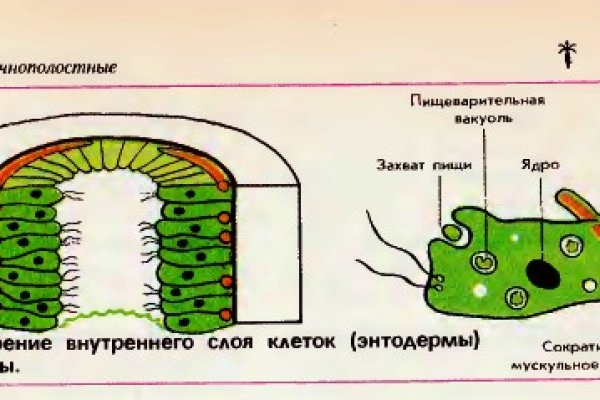 Как зарегистрироваться на кракене