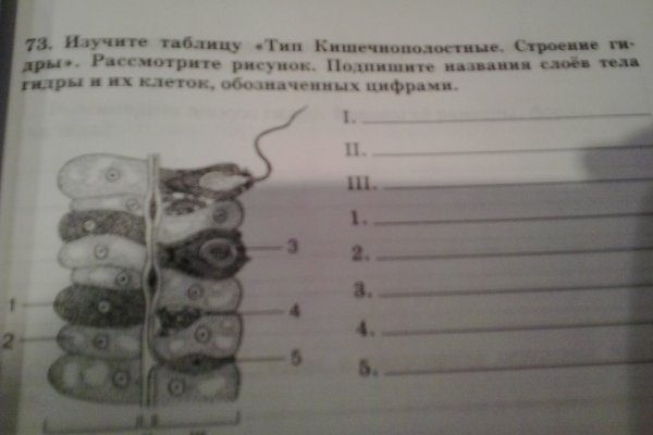 Сайт кракен не работает почему